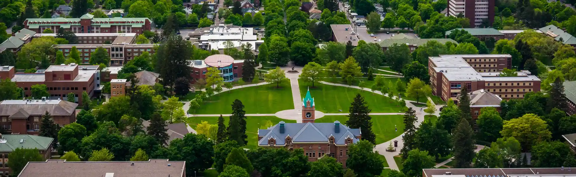Neon color image of a band playing and people singing along